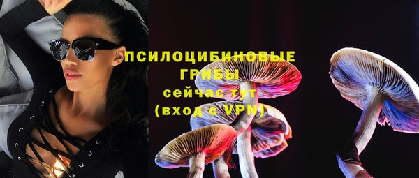 ешки Алексеевка
