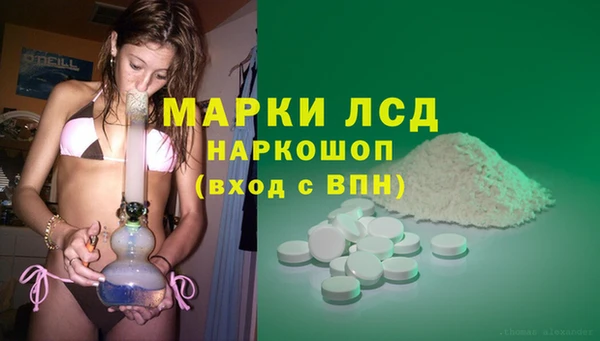 гидропоника Дмитров