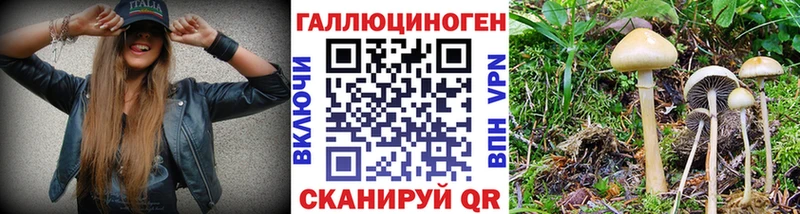 Псилоцибиновые грибы MAGIC MUSHROOMS Мегион